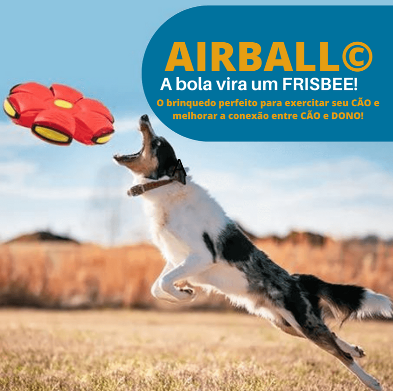 Bola Voadora para Cães - Airball